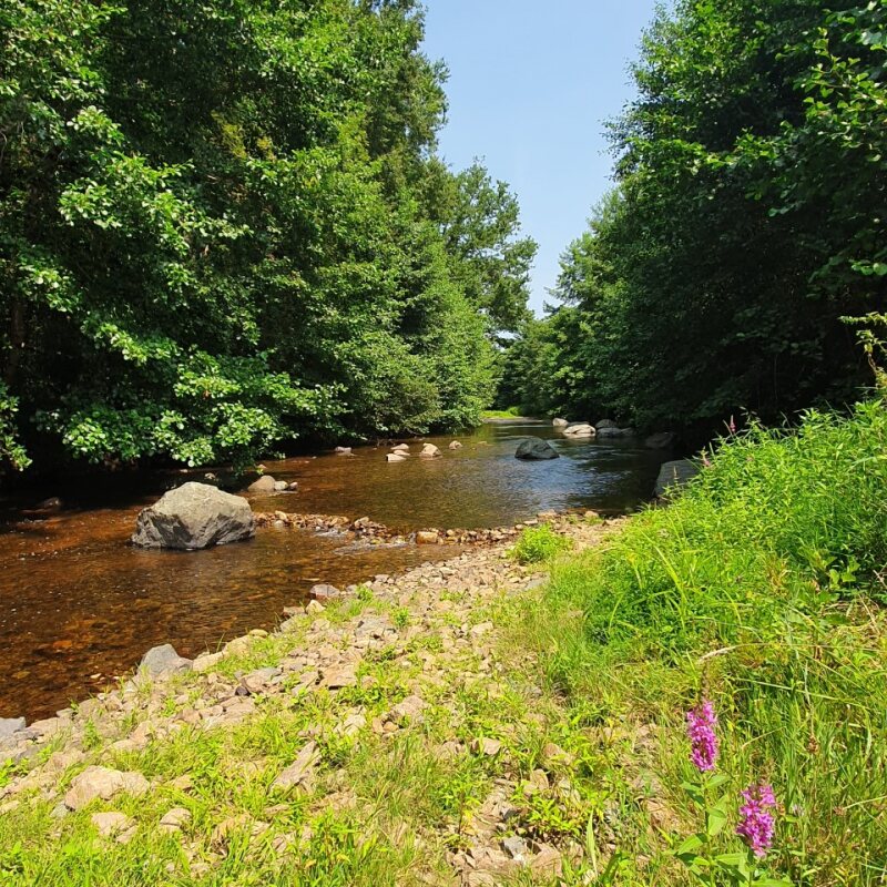 Friendly Camping and Lodges La Font Pissote, Saint-Pardoux-la-Rivière - photo 12