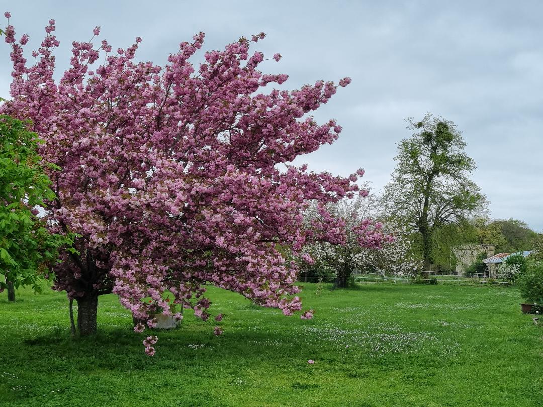 Le Domaine des Caves