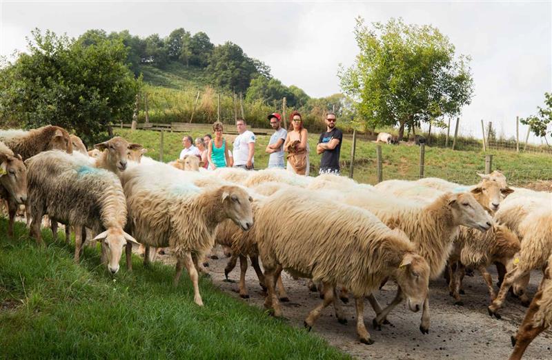 Ferme Agerria