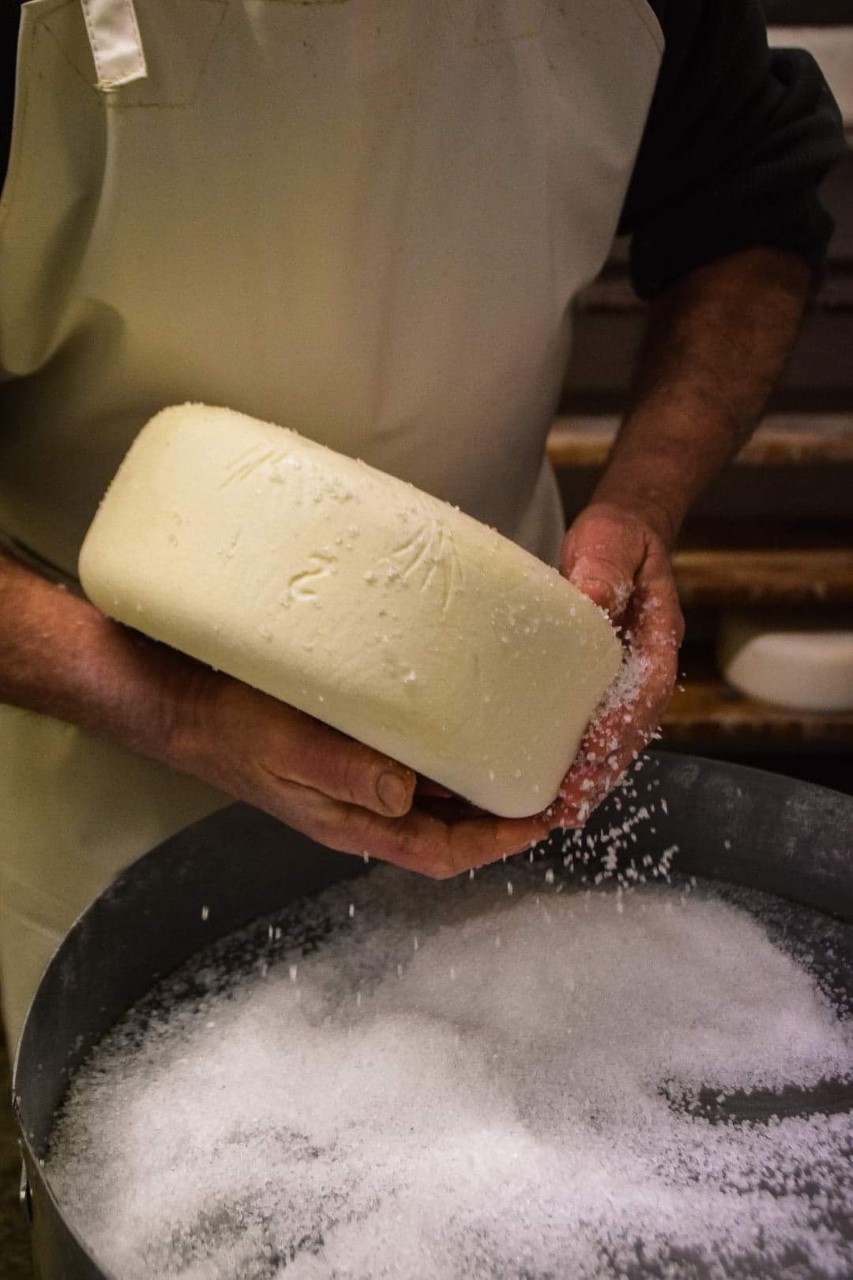 SAS La Ferme Salet - photo 2