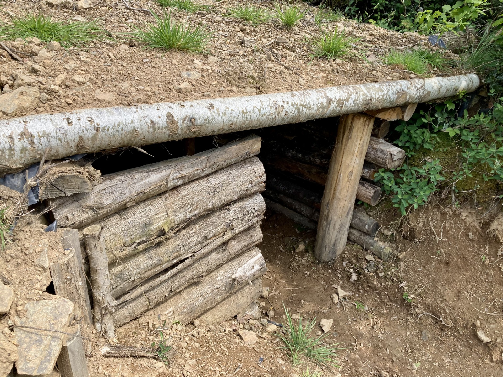 Planque du maquis, Saint-Julien-le-Petit