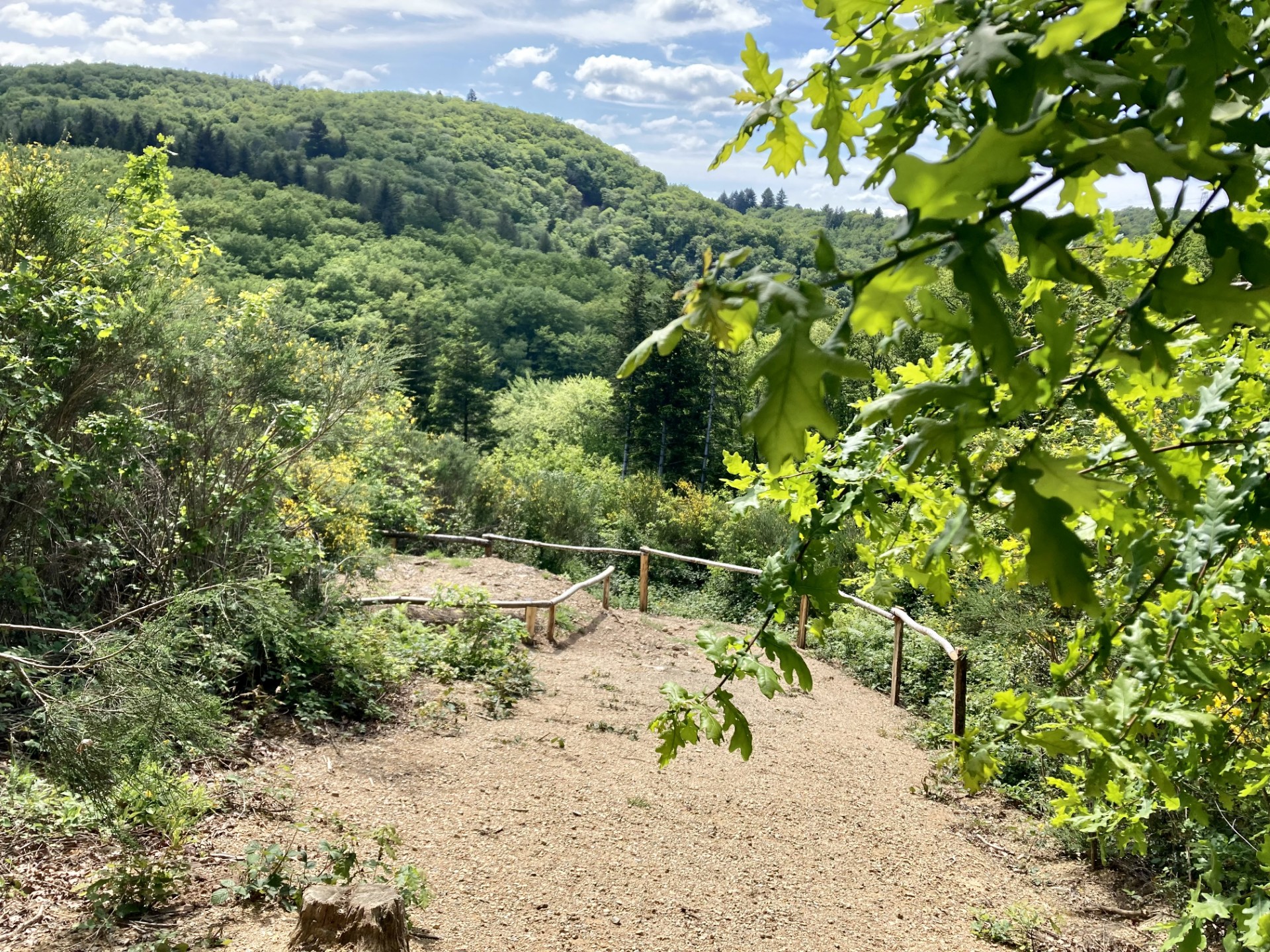 Planque du maquis, Saint-Julien-le-Petit - photo 2