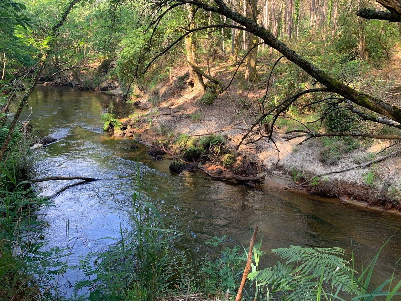 Balade nature
