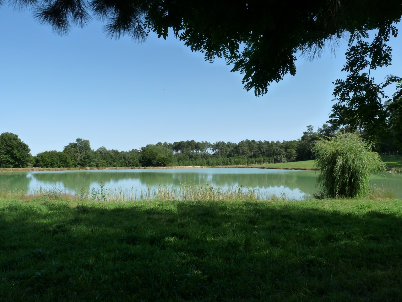 Domaine d'Airelle. Gite Augusta - photo 3