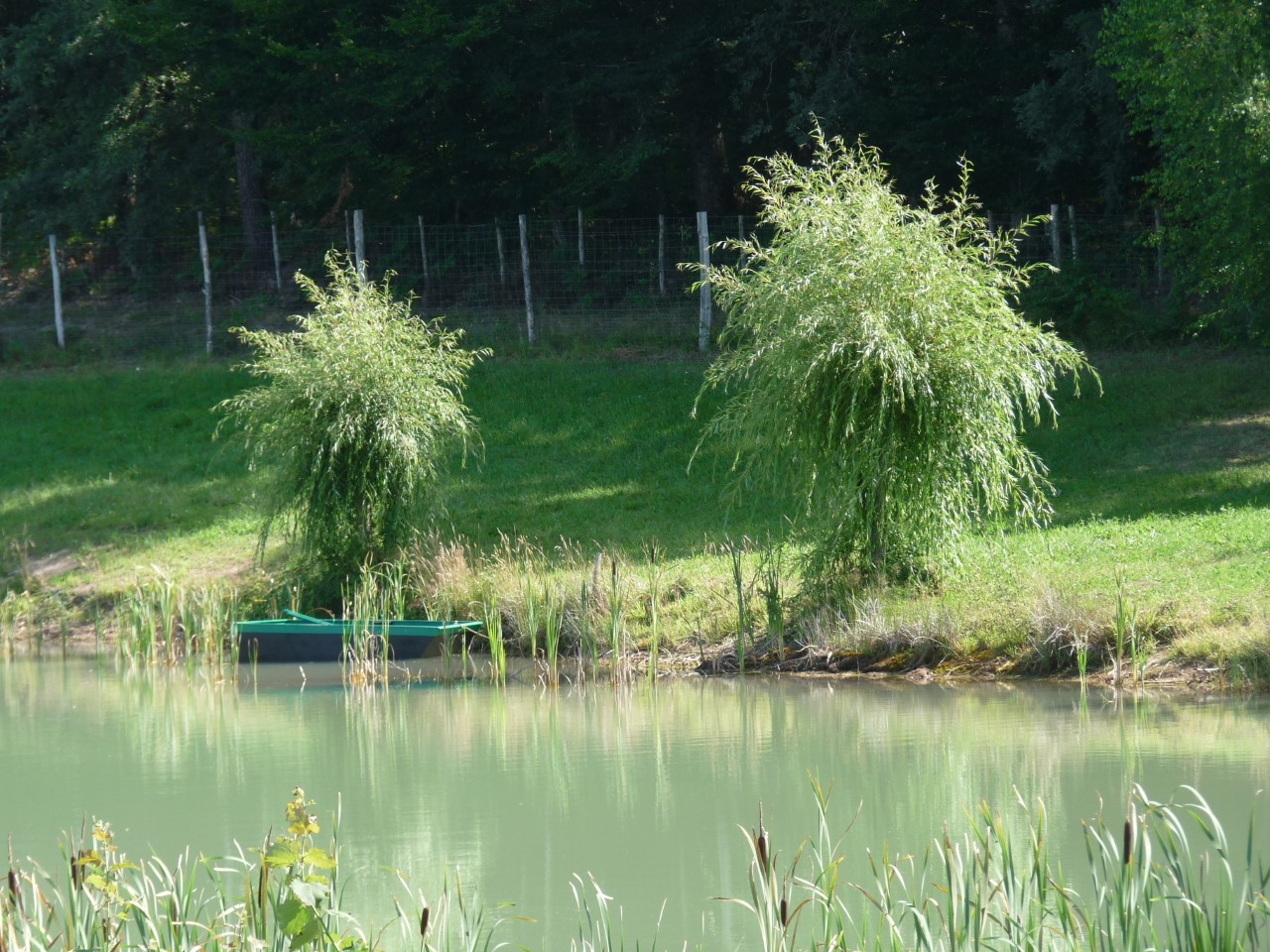 Domaine d'Airelle. Gîte Le Porche, Vergt - photo 10