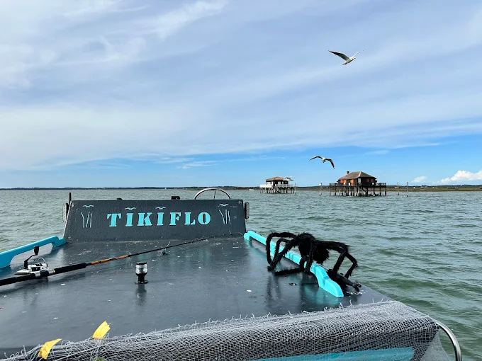 Tikiflo - photo 4