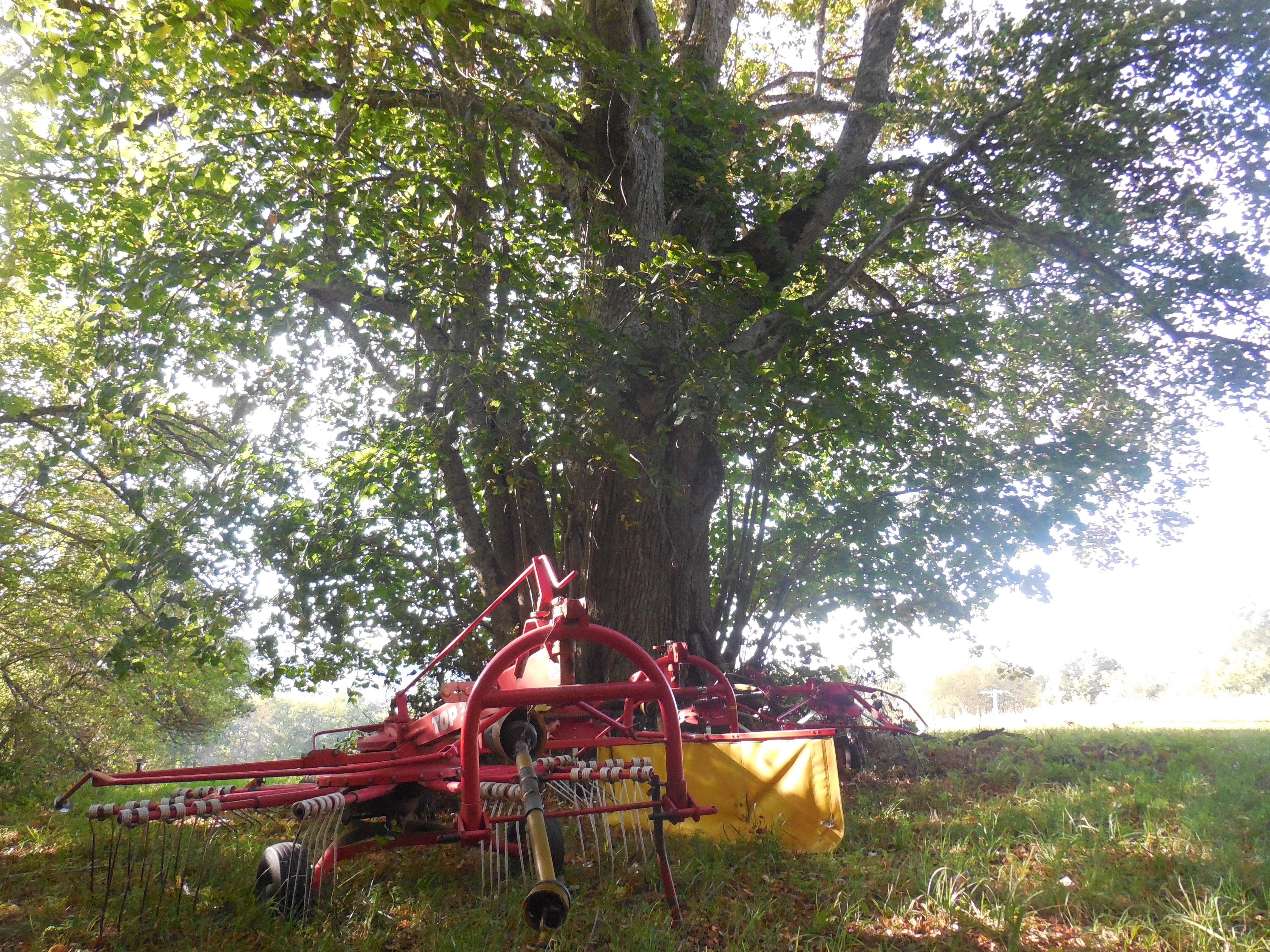 Au fil de l'eau - 12 km - temporairement fermé - photo 2