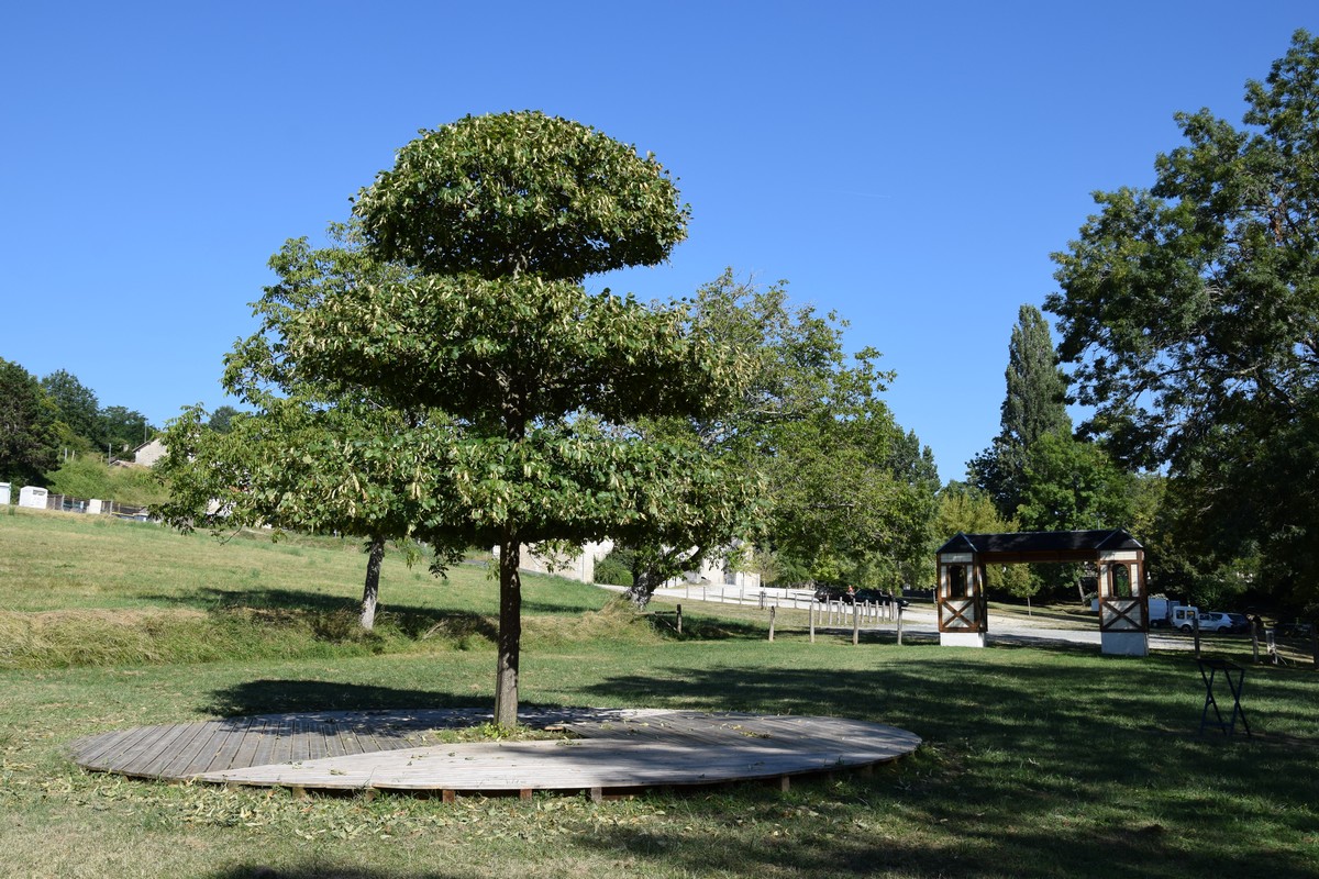 Aire de pique-nique de Jaure - photo 2