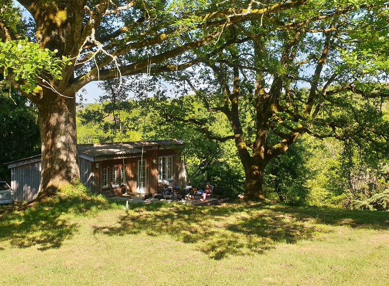 Tiny Bwa, Saint-Cernin-de-l'Herm - photo 2