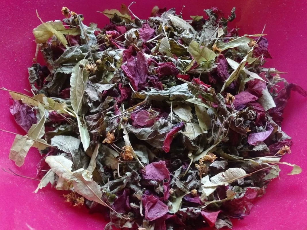 Maïana aromatiques — photo 3