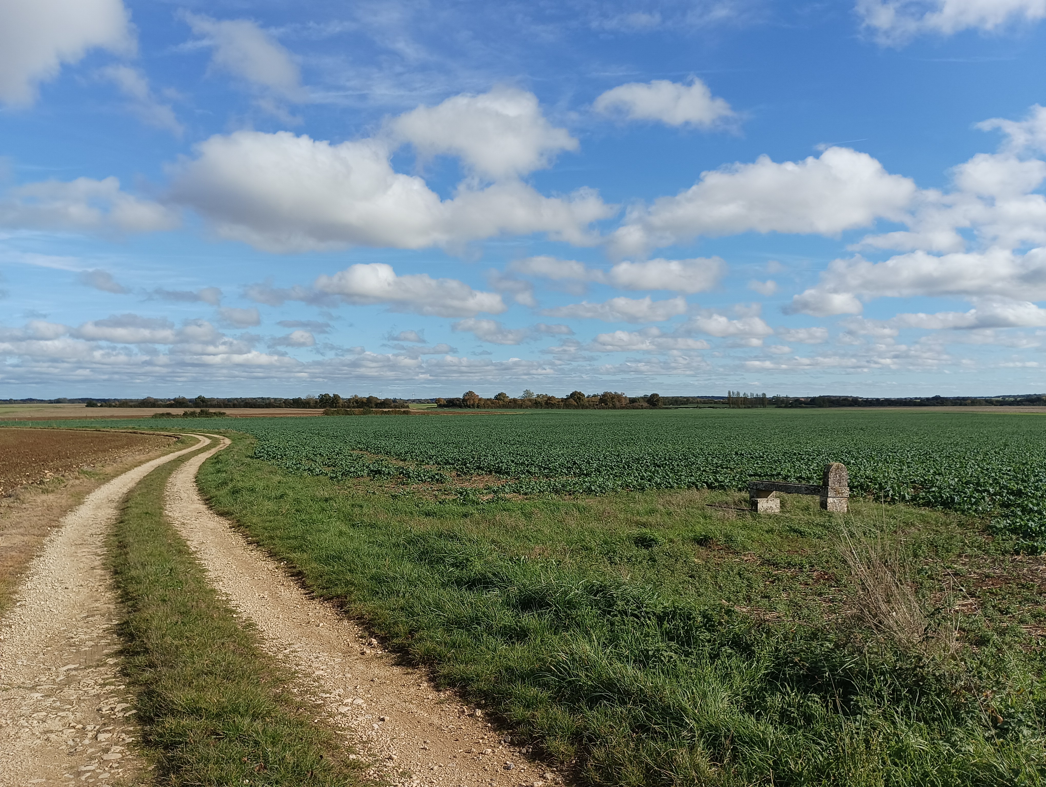 Circuit des Marzelles, Messé - photo 3