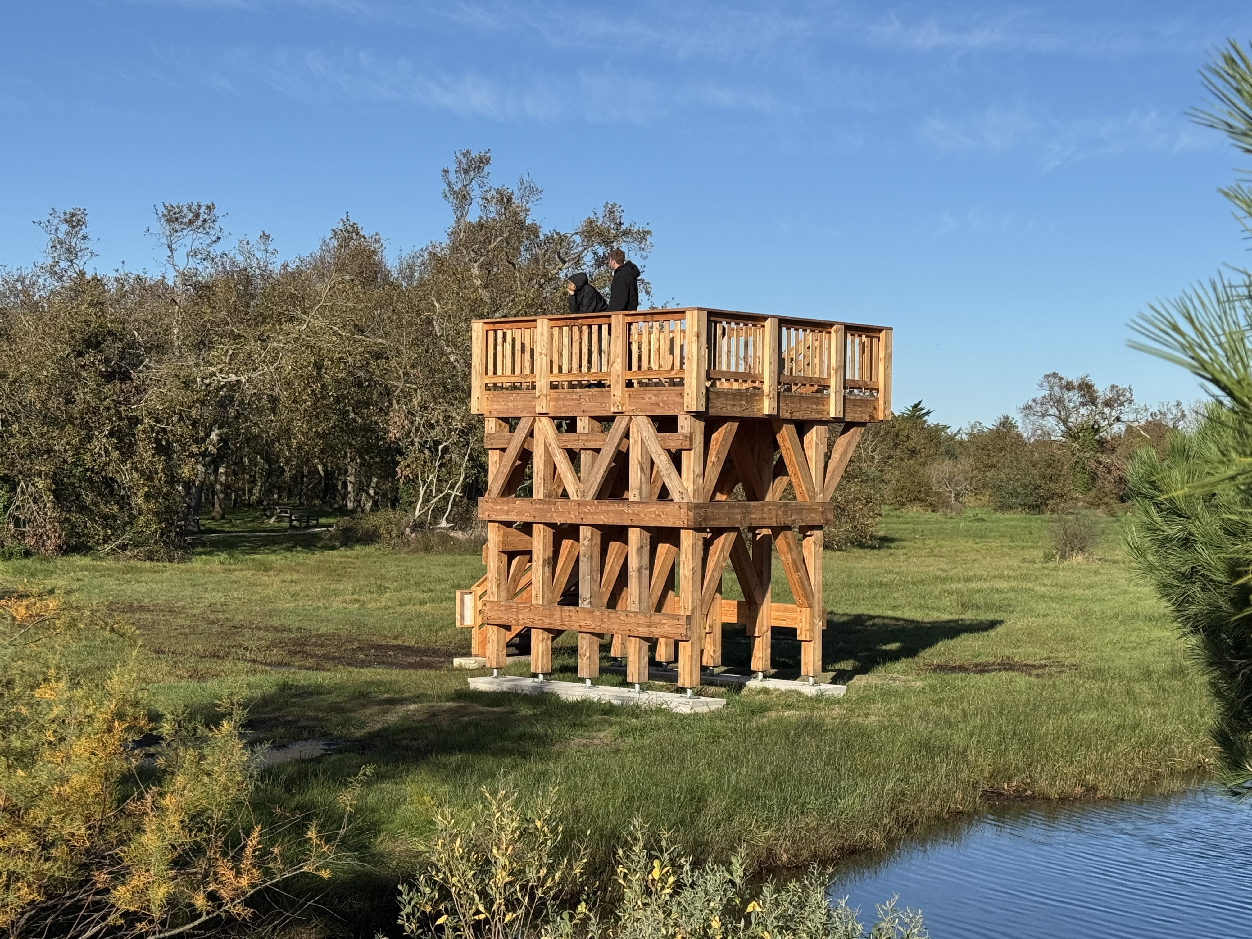 Tour d’observation