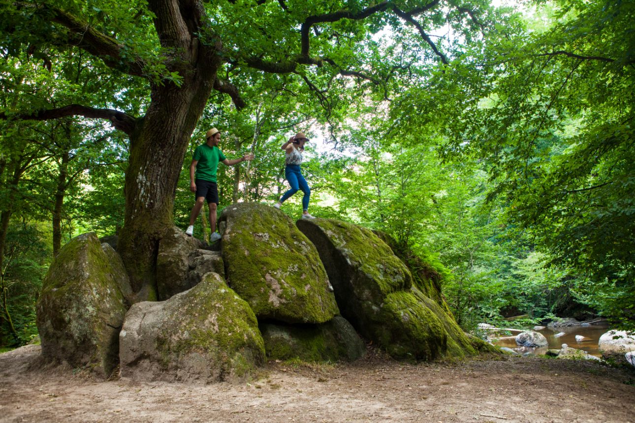 Tèrra Aventura : Glâner les sentes au-delà des tors - photo 5