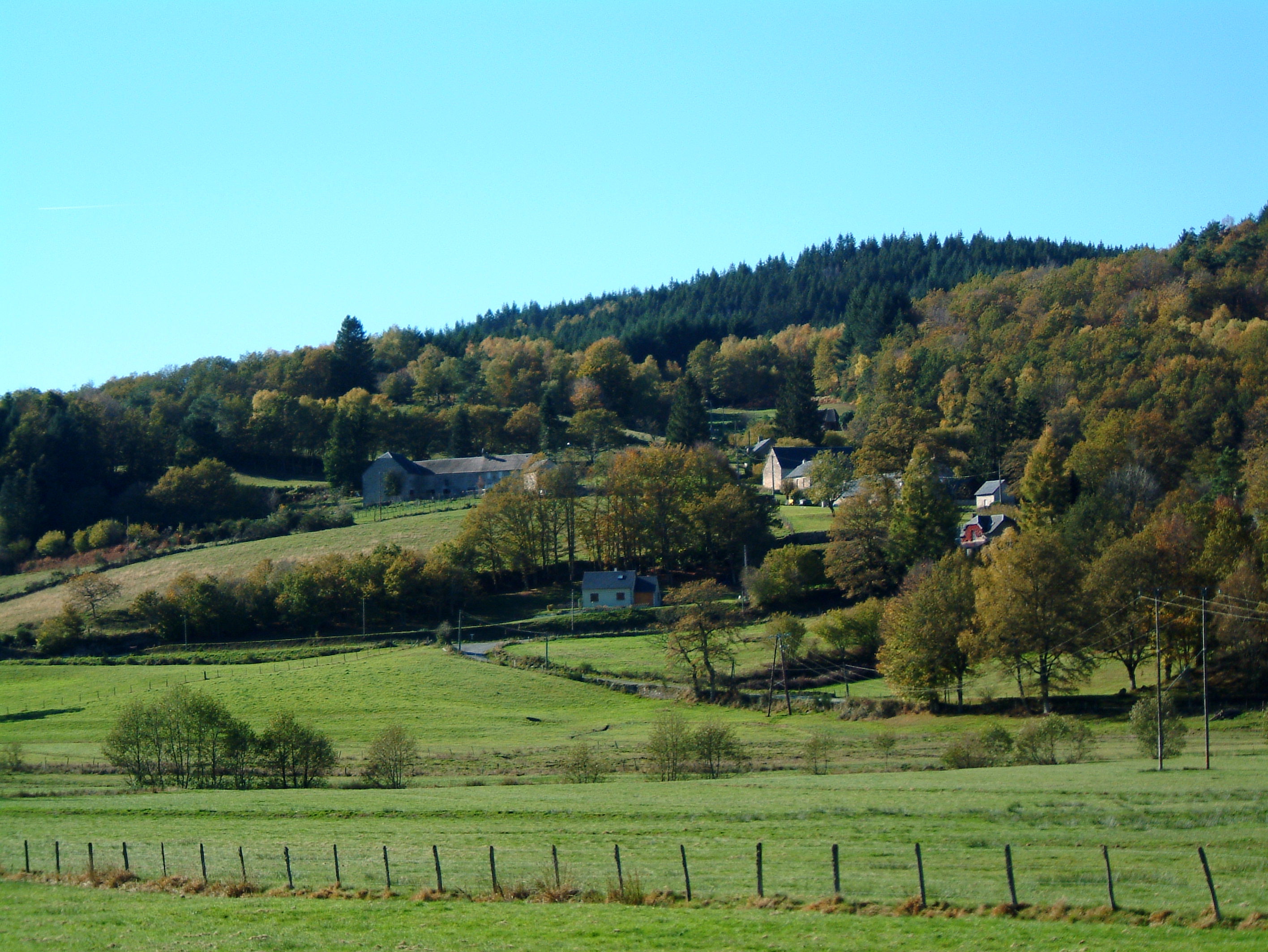 Le Petit Paris - photo 2