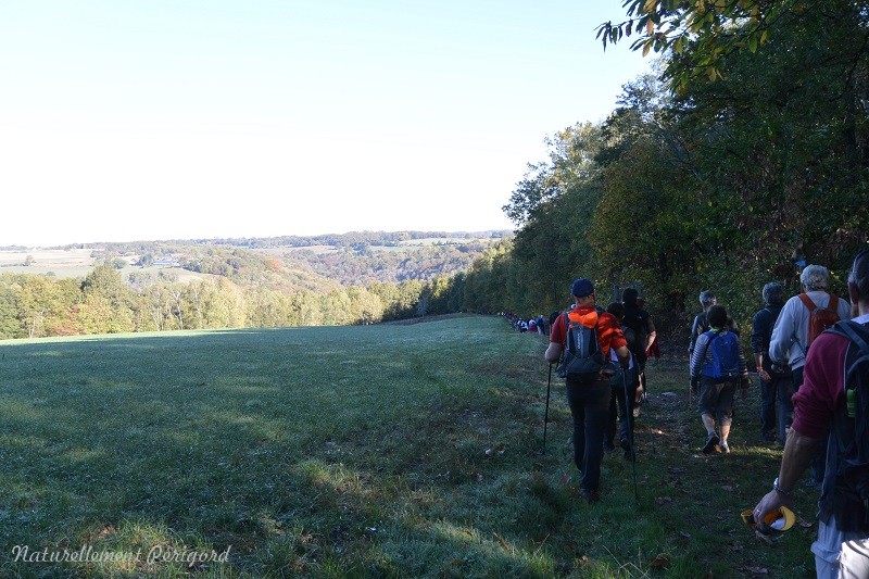 Trail des gorges de l'Auvézère, Saint-Mesmin - photo 2