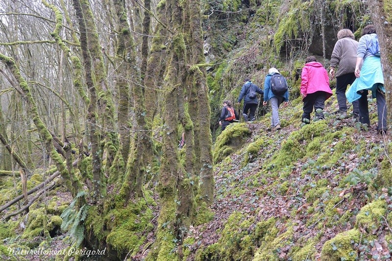 Trail des gorges de l'Auvézère, Saint-Mesmin - photo 3