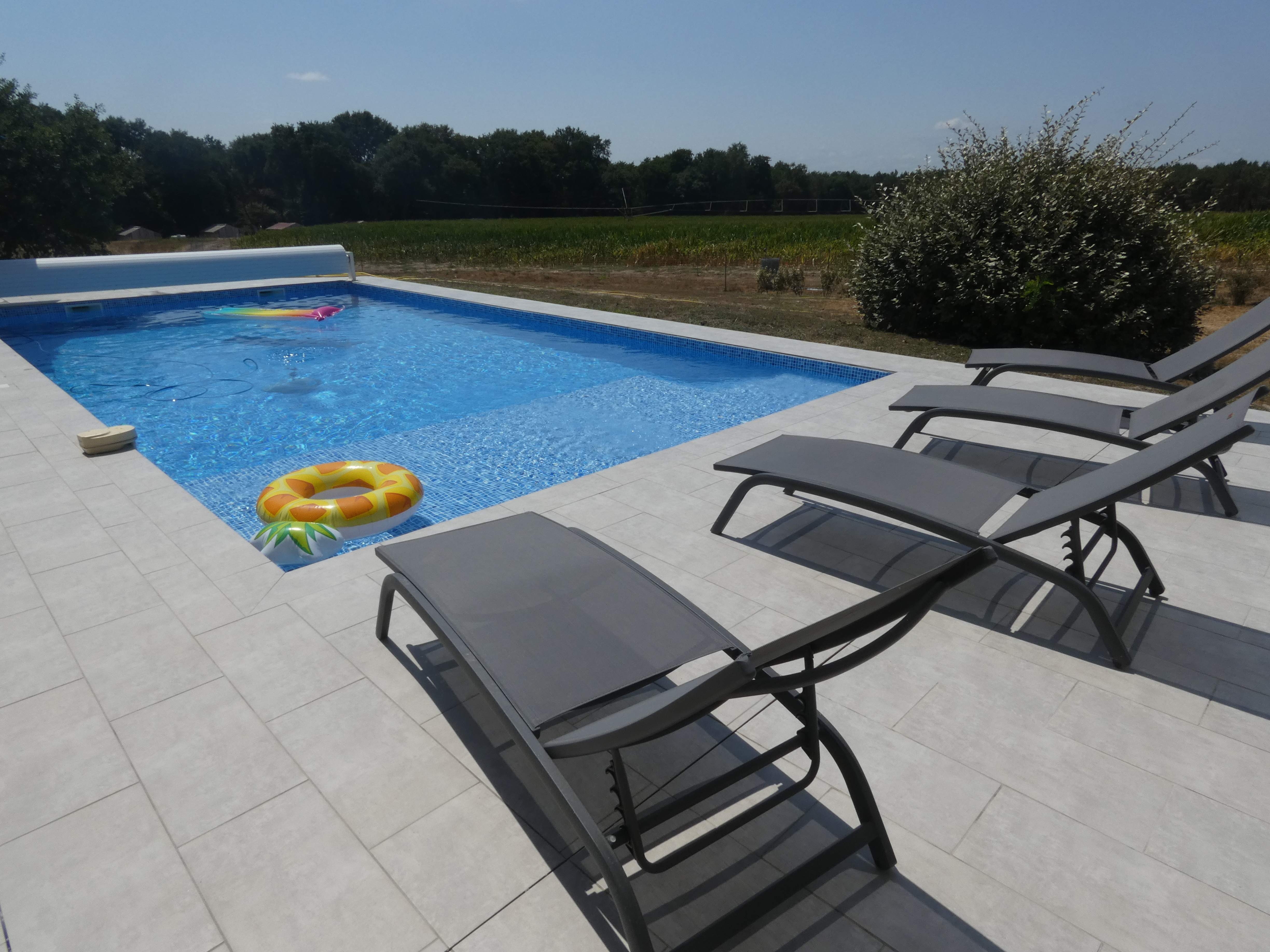 Maison Ségues, Campagne - photo 2