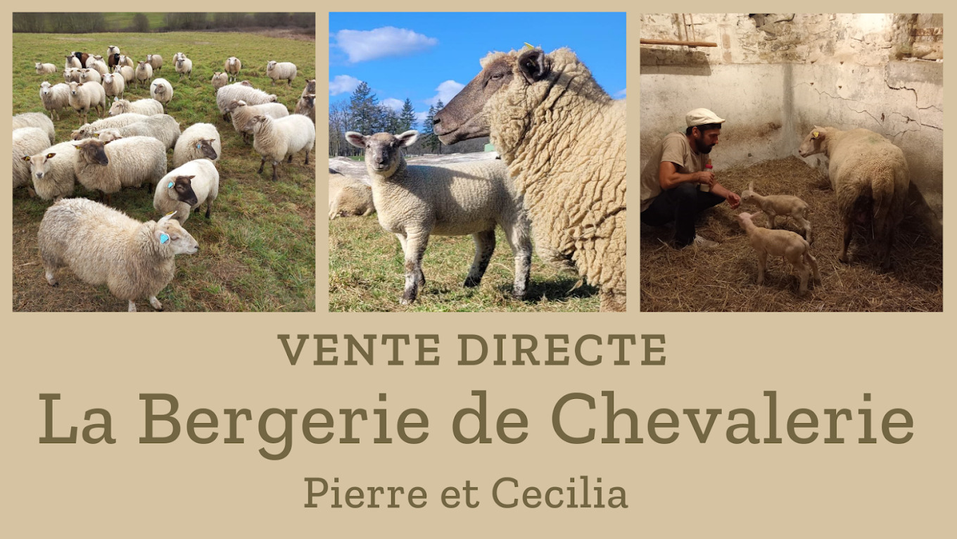 La Bergerie de Chevalerie - photo 2