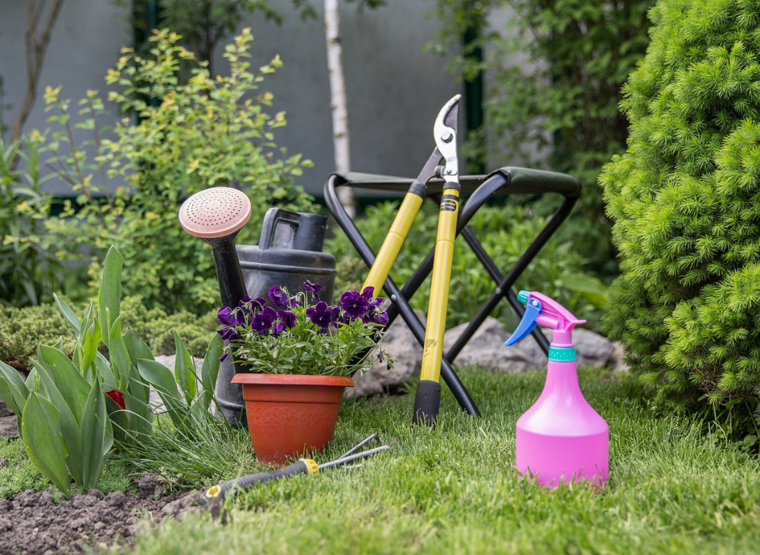 Troc plantes & graines