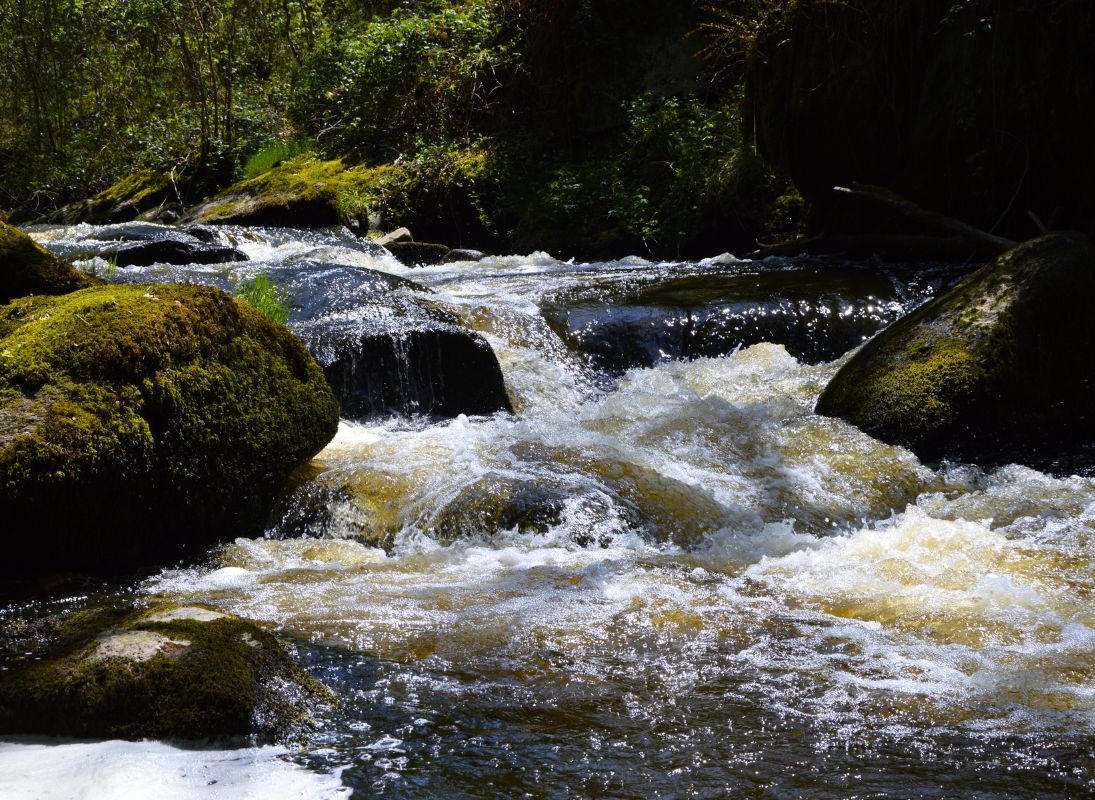 Le Trou du Papetier, Dournazac - photo 6
