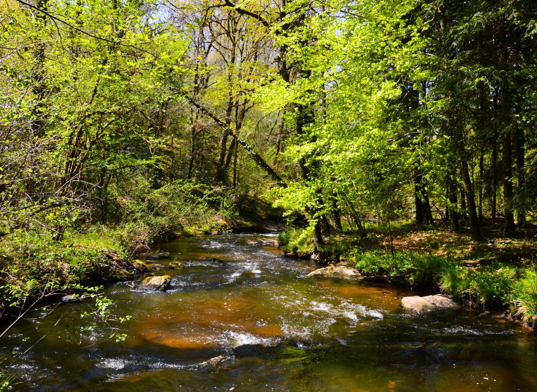 Le Trou du Papetier - photo 5