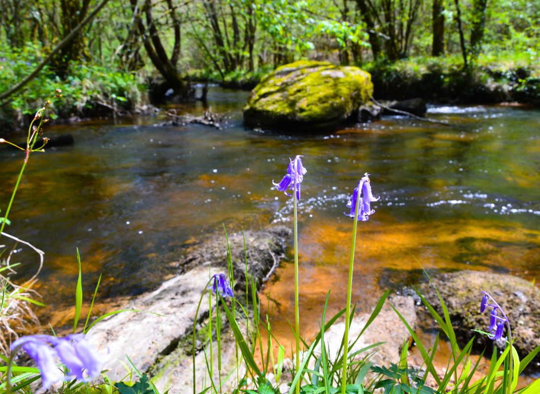 Le Trou du Papetier - photo 4