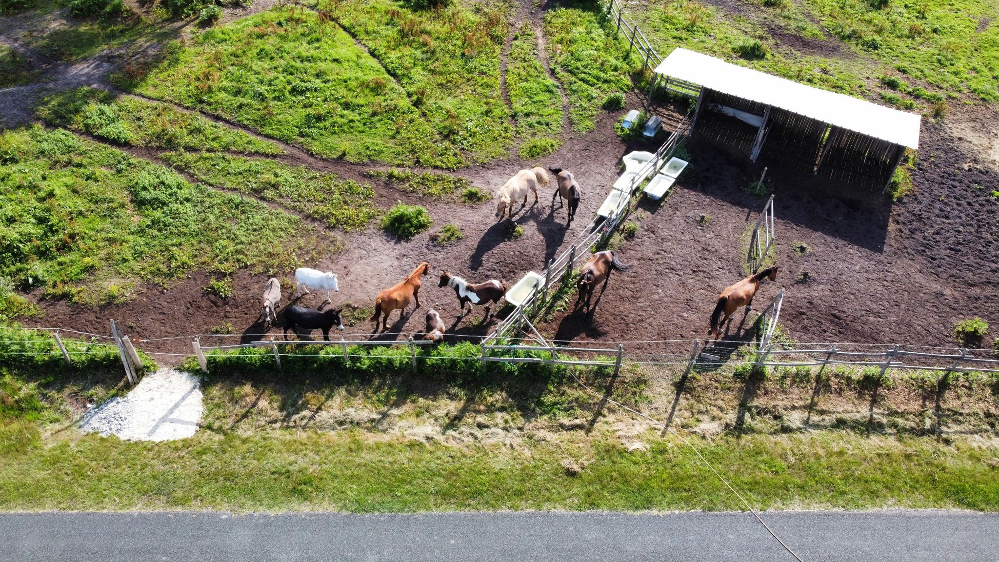 À coeur et à crins