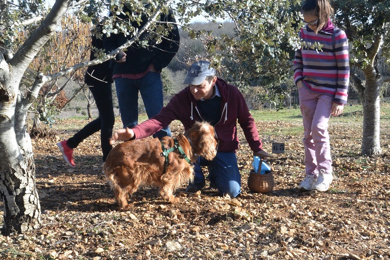 Truffière La Garrigue