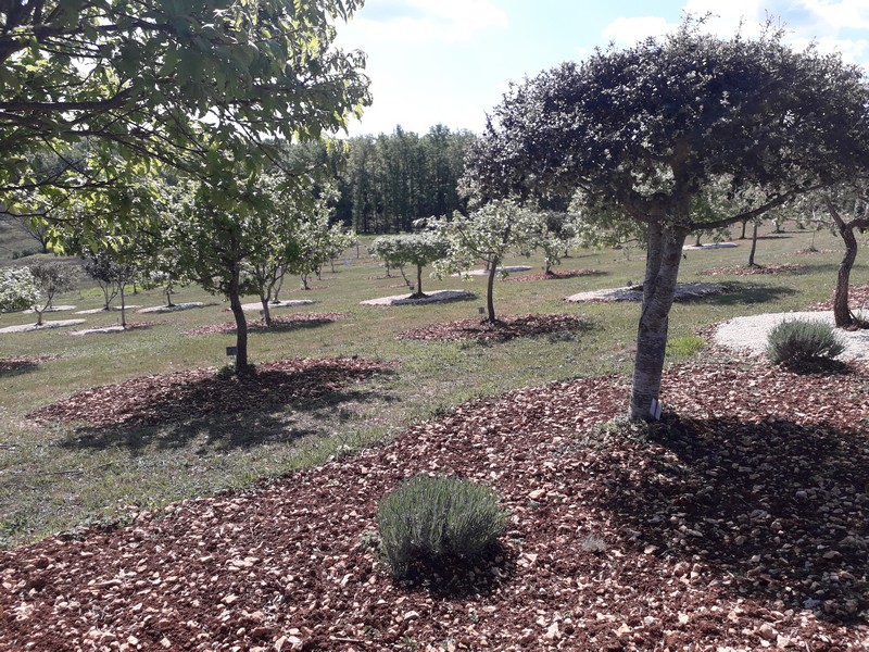 Truffière la Garrigue - photo 4