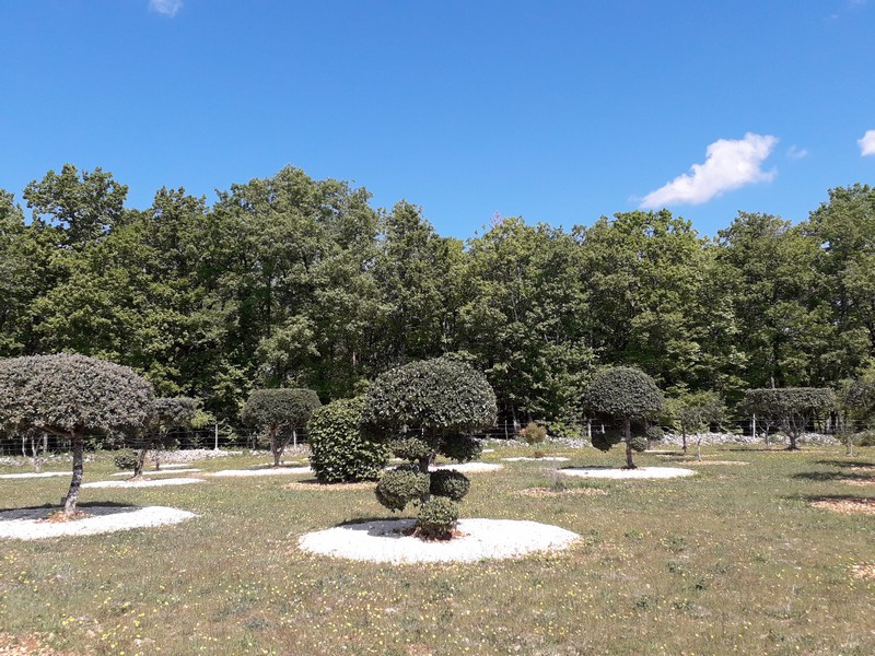Truffière la Garrigue