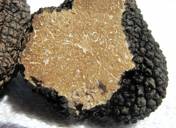 Marché au gras & aux truffes, Ribérac - photo 2