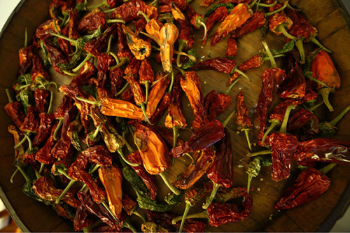 Fumoir & Co smokehouse
