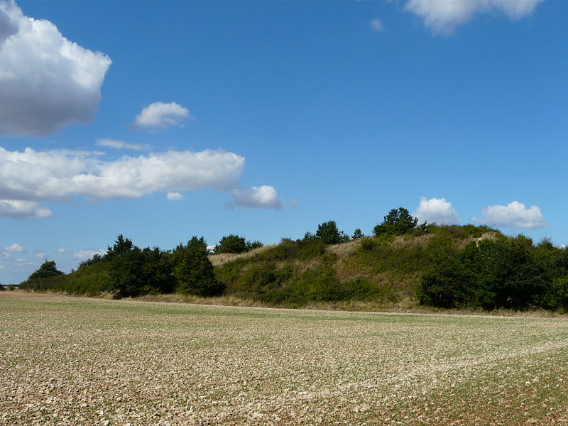 Tumulus du Puy Taillé, Assais-les-Jumeaux - photo 2