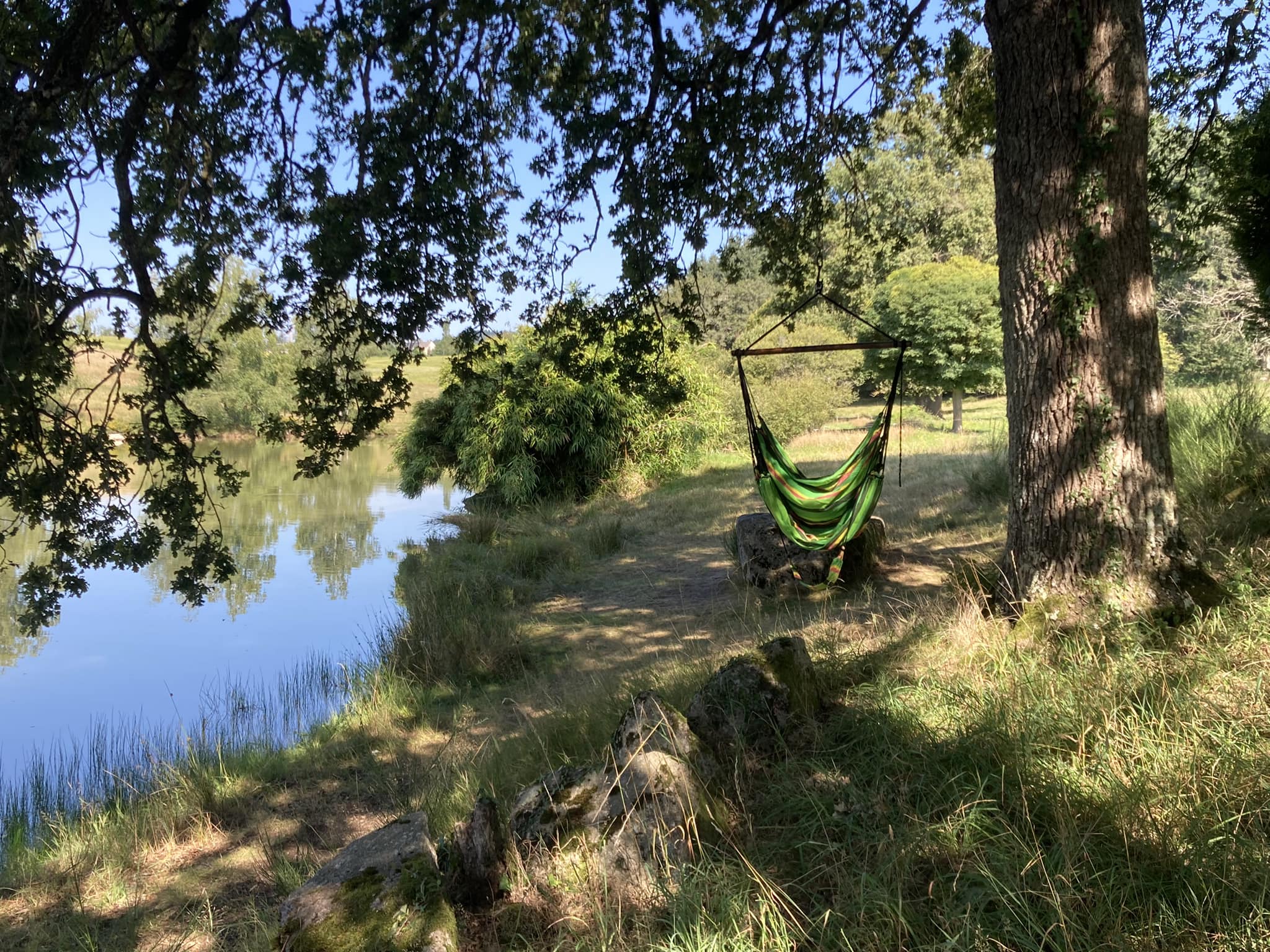 MARGUERITE - photo 5