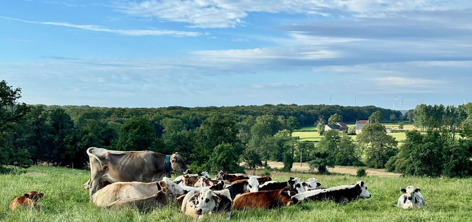 Visite de la ferme La Vallée des Vaches, Magnac-Laval - photo 3