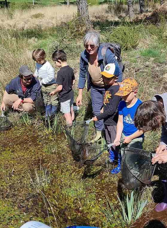 Atelier-découverte : La petite faune des landes et des prairies — visuel événement
