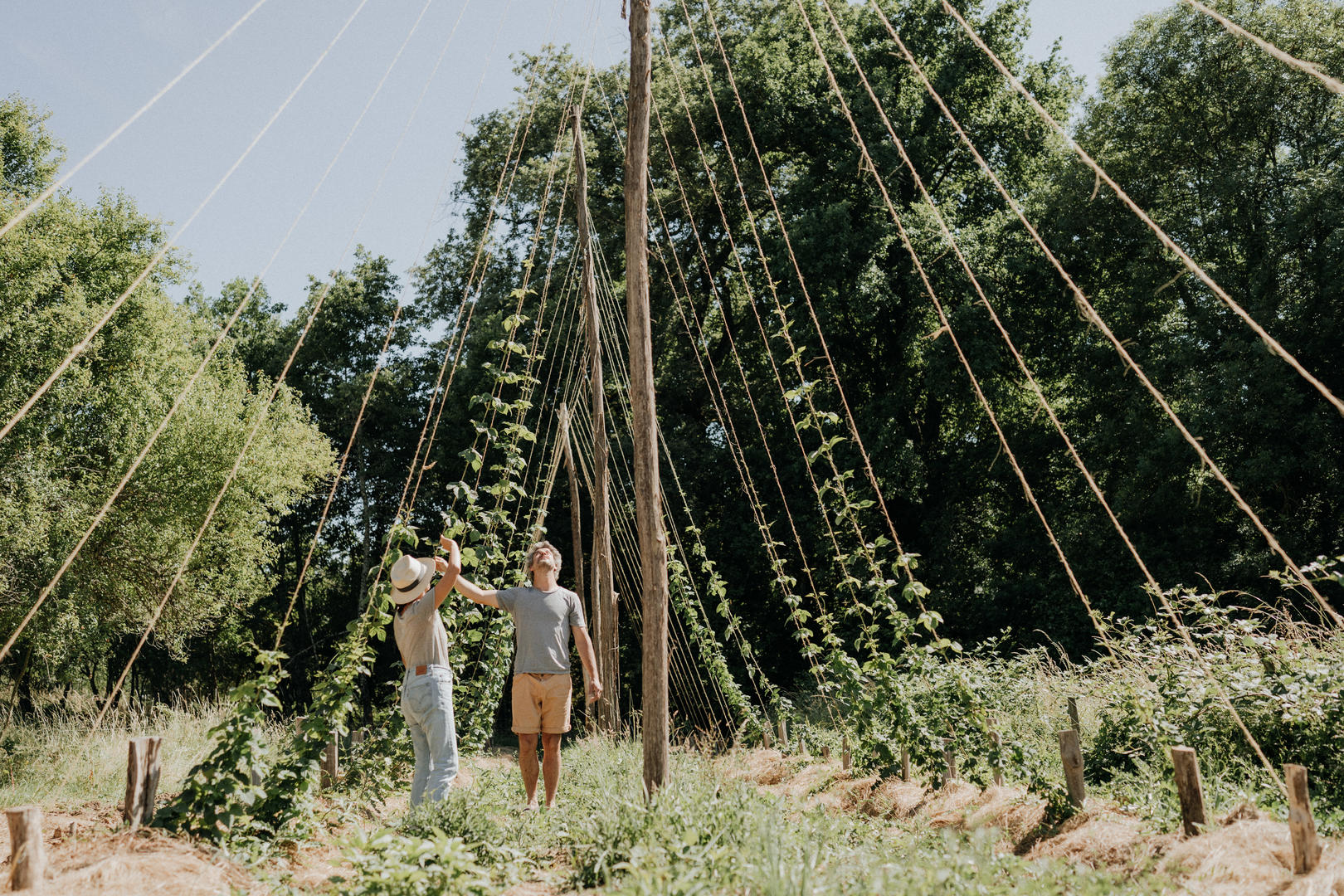 Combrillac - photo 3