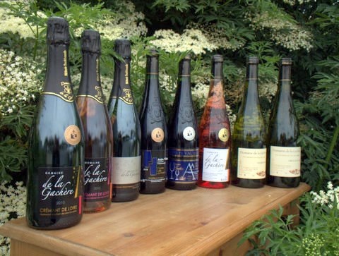 Domaine de la Gachère - GAEC Lemoine - photo 2