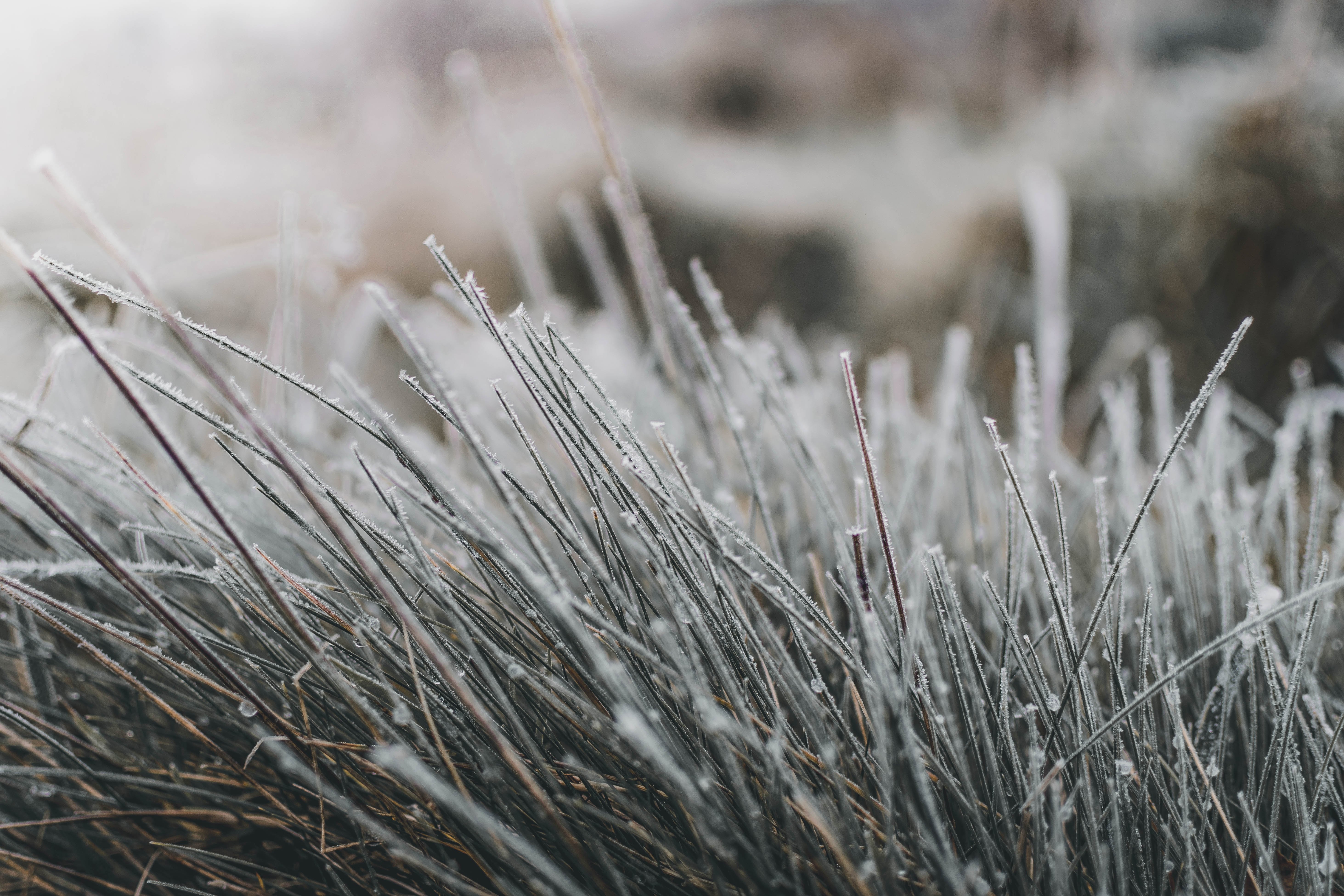La nature en hiver, à la réserve départementale de biodiversité d'Argentat — visuel événement