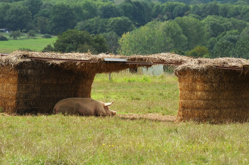 Vallée du Nay