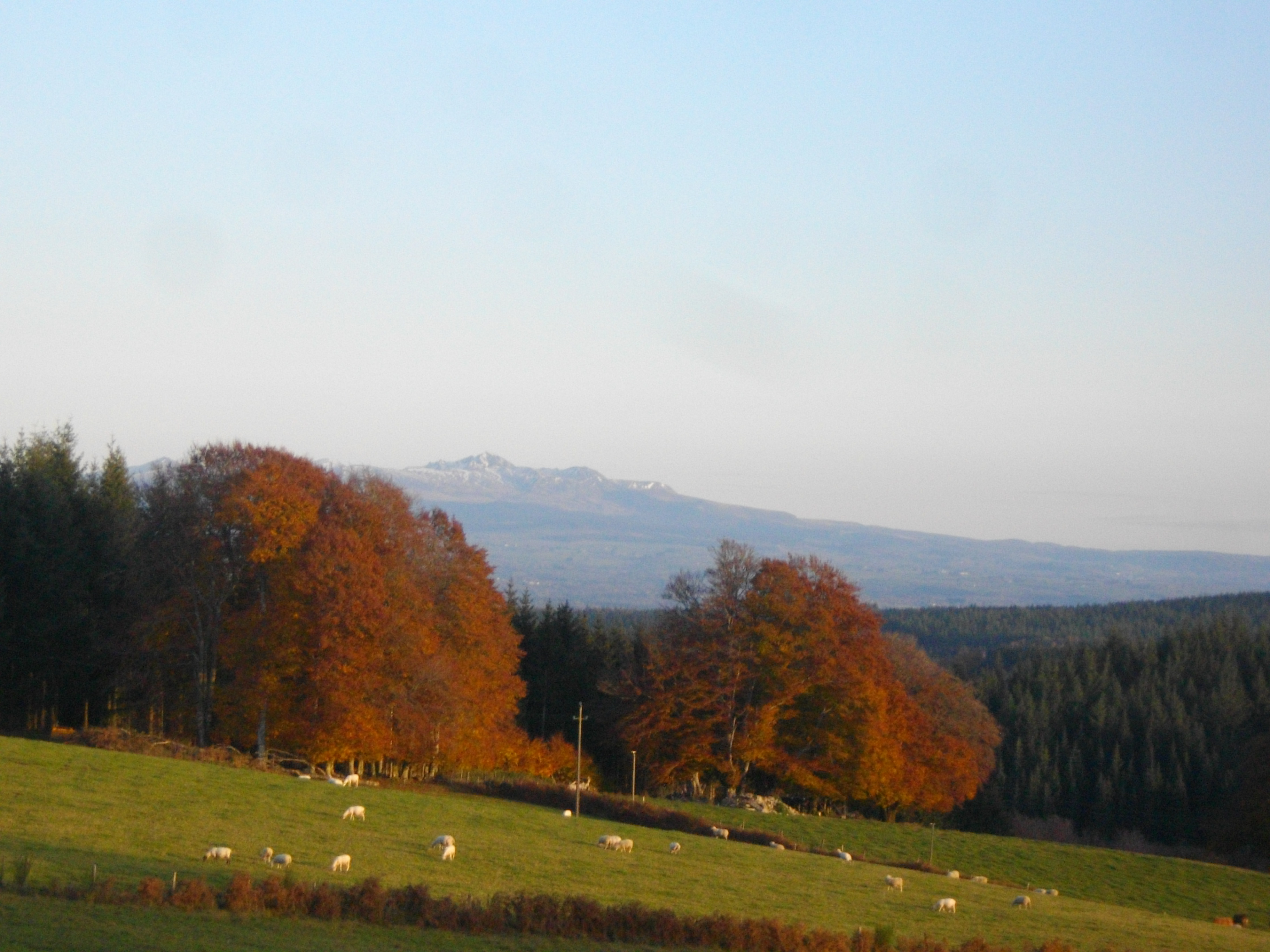 Circuit des deux sommets (variante intermédiaire - 5 km) - photo 3