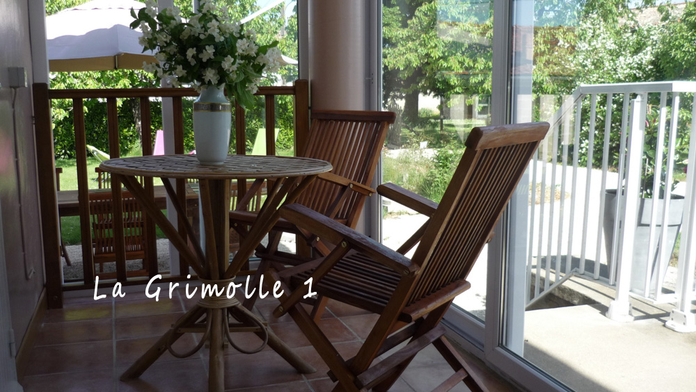 Gîte de la Grimolle 1, Valence-en-Poitou - photo 9