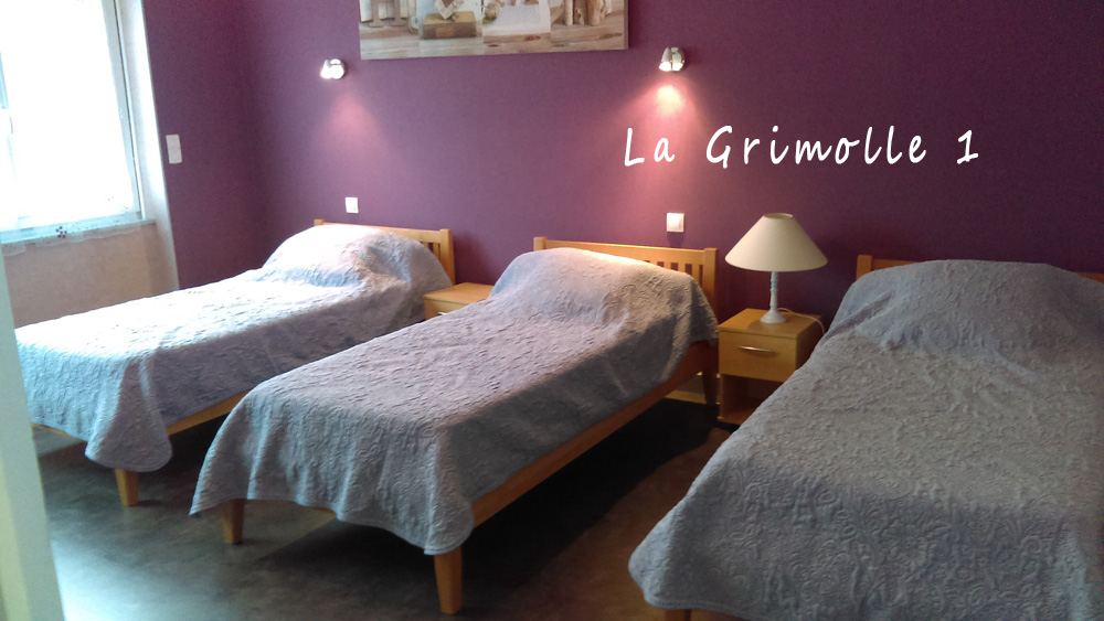 Gîte de la Grimolle 1, Valence-en-Poitou - photo 6