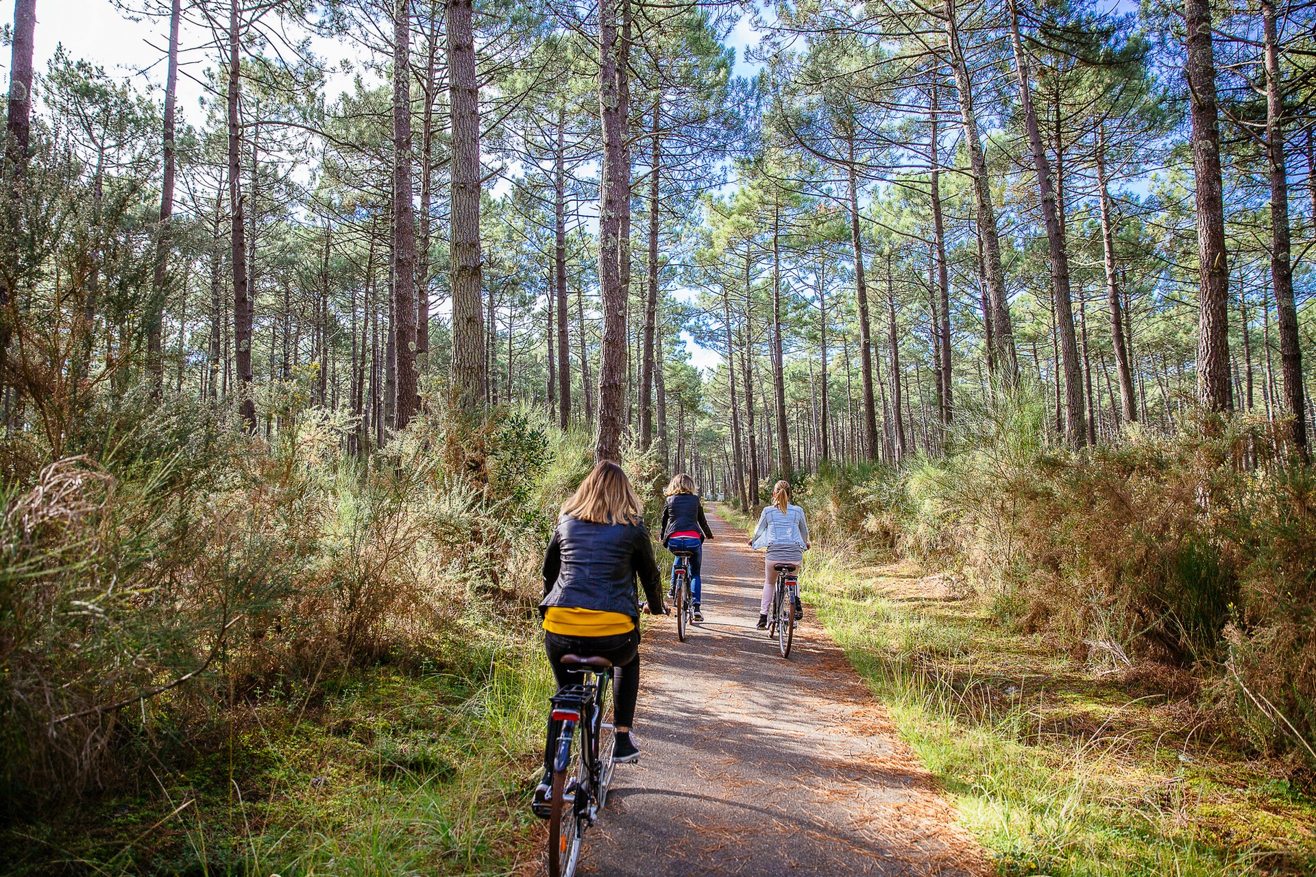Les pistes cyclables, Biscarrosse - photo 2