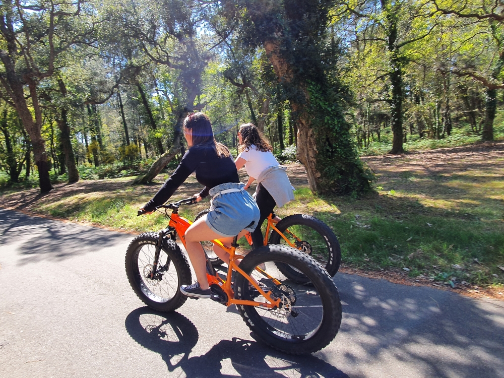 Balade accompagnée en fat bike électrique : plage et forêt