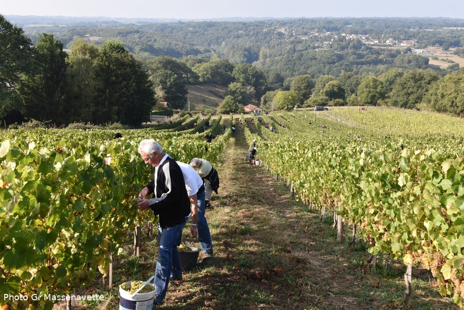 Domaine des Gabies — photo 2