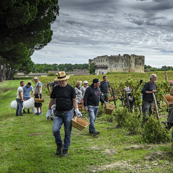 Château de Fargues — photo 2
