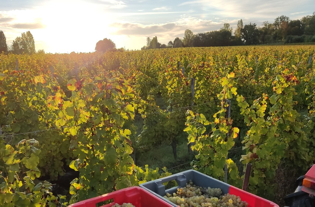 Domaine de Combet - photo 2