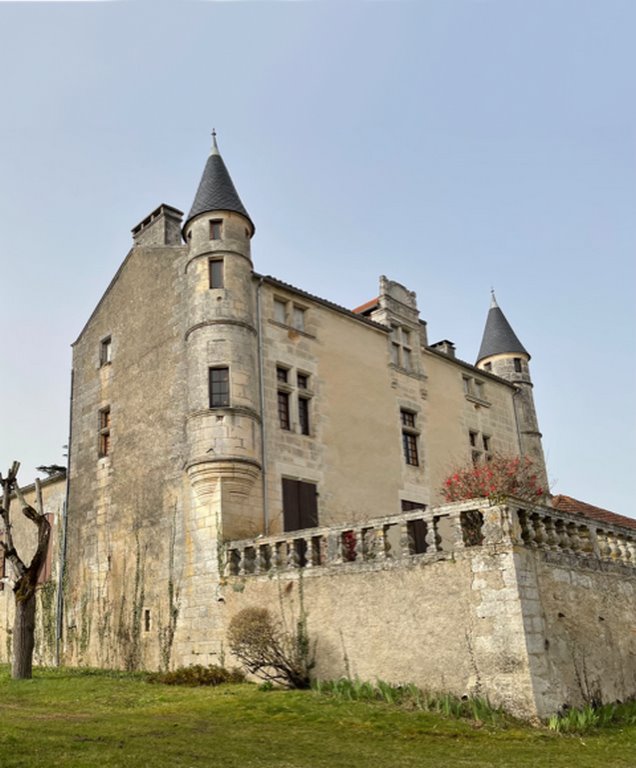 Atelier Self Care, Gua Sha & Auto-Massage - Châteaux en fête - photo 3