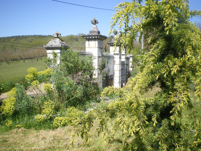La Maison d'Angel - photo 2